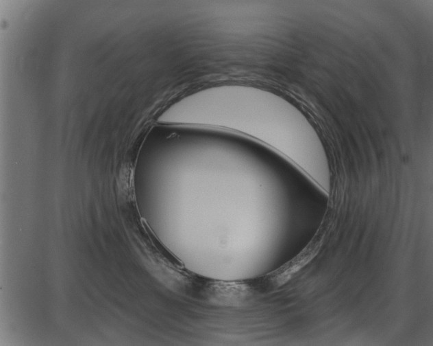 X0000086780429200704130834