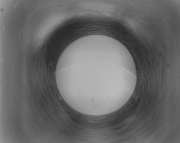 X0000086780431200704130834