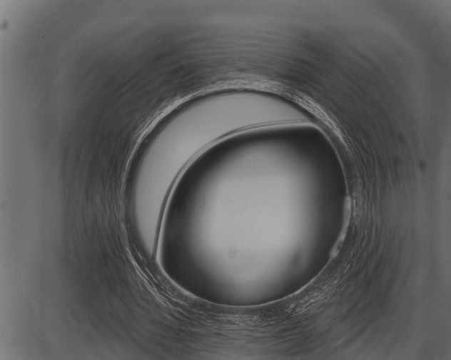 X0000086780436200704130833