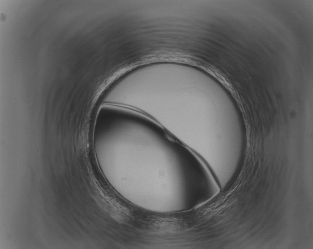 X0000086780438200704130833
