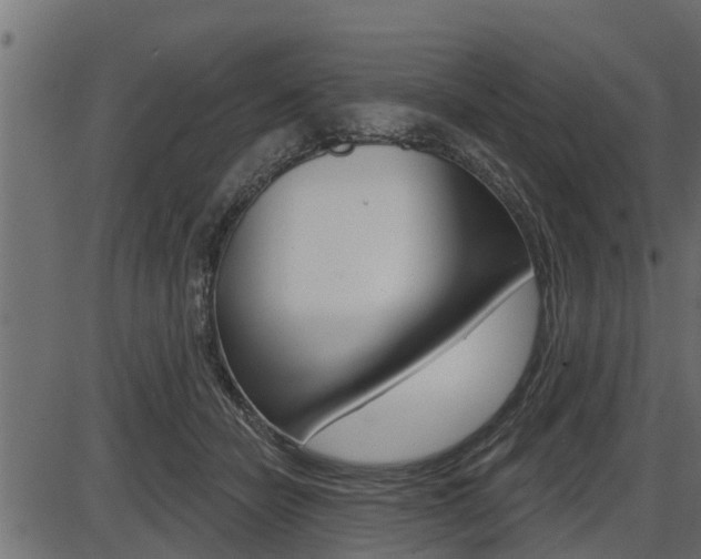 X0000086780462200704130833