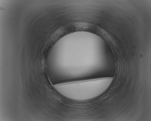 X0000086780463200704130833