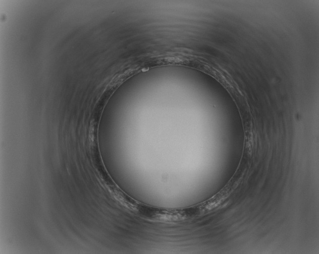 X0000086780466200704130833
