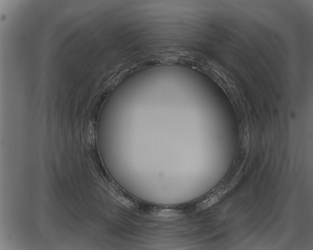 X0000086780467200704130833