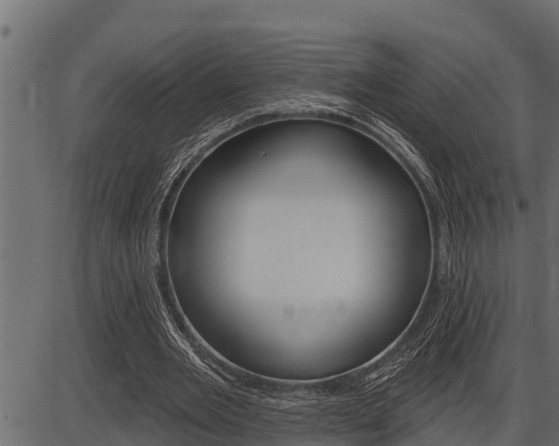 X0000086780485200704130833