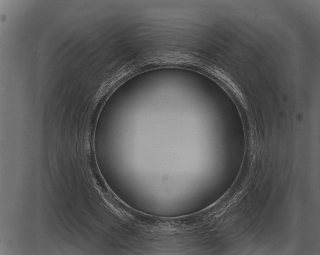 X0000086780489200704130833