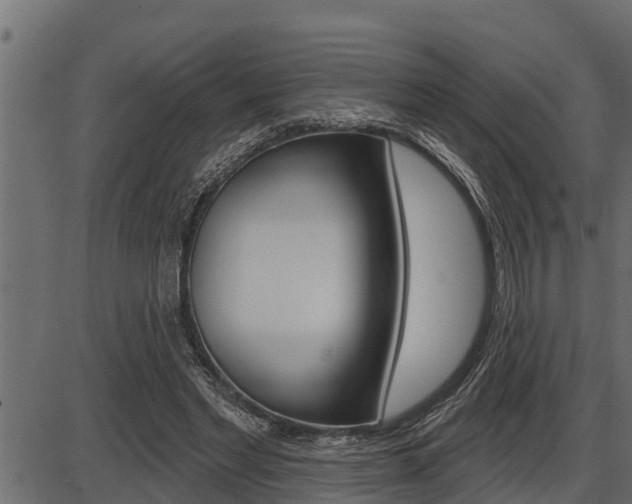 X0000086780493200704130832