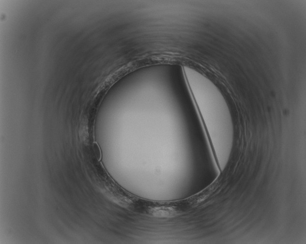 X0000086780508200704130832