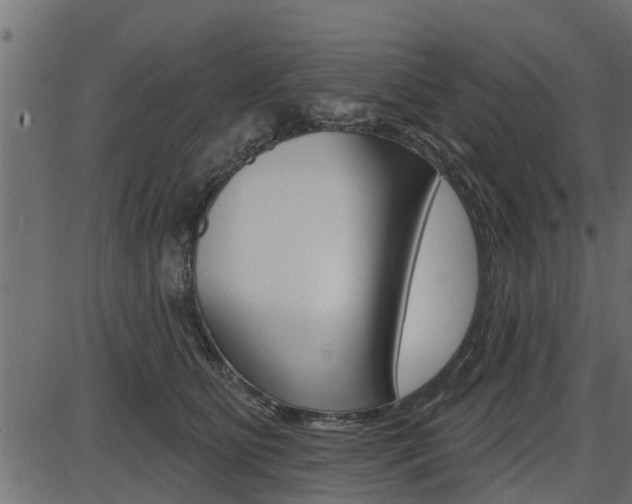X0000086780515200704130832