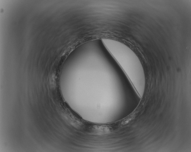 X0000086780520200704130832