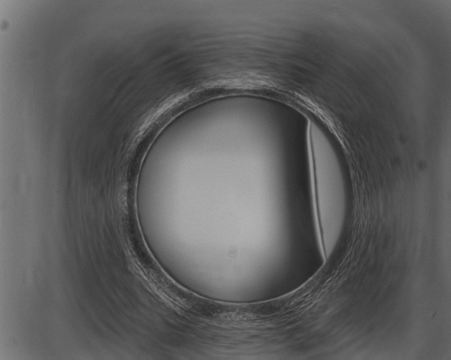X0000086780535200704130831