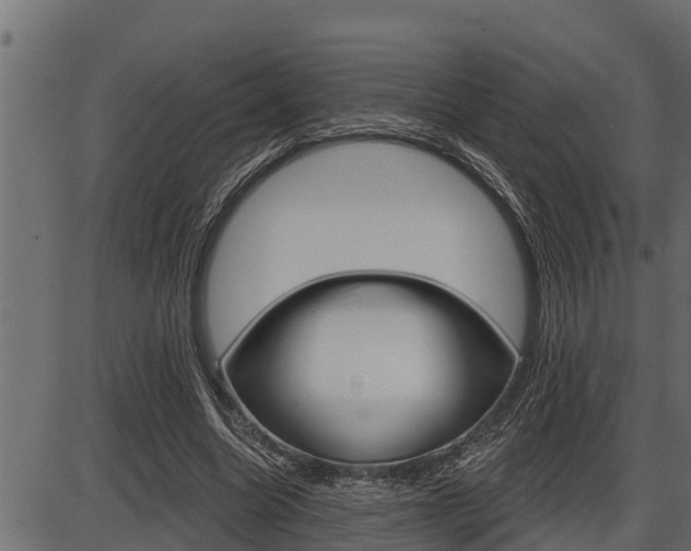 X0000086780538200704130831