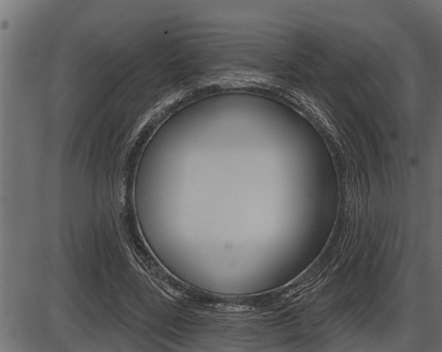 X0000086780539200704130831