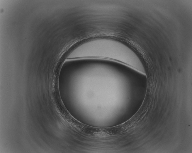 X0000086780544200704130831