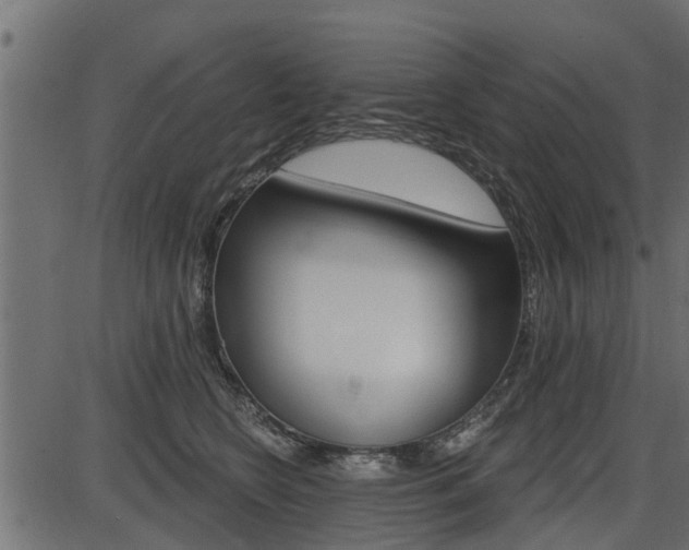 X0000086780566200704130832