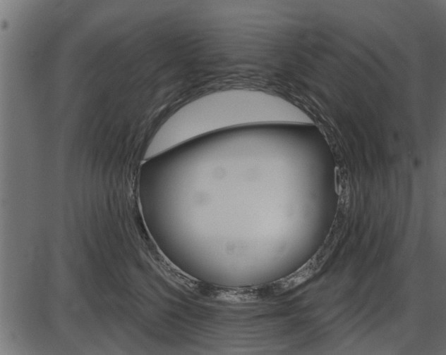 X0000086780568200704130832