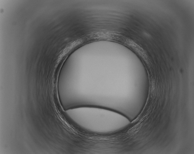 X0000086780578200704130831