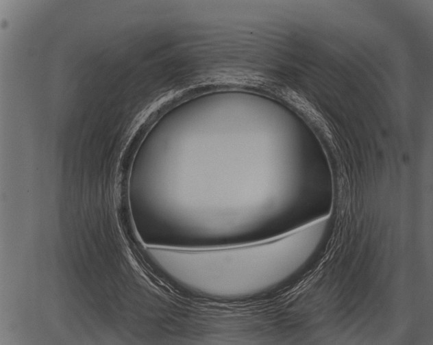 X0000086780580200704130831