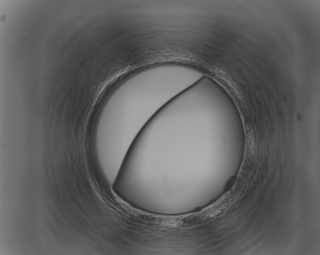 X0000086780587200704130831