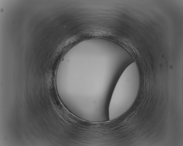 X0000086780591200704130831