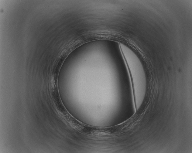 X0000086780597200704130831