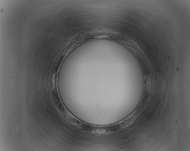 X0000086780598200704130831