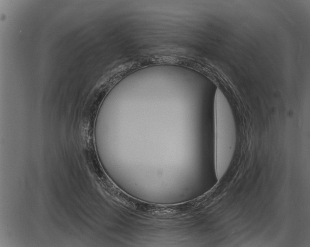X0000086780599200704130831