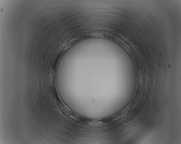 X0000086780603200704130831