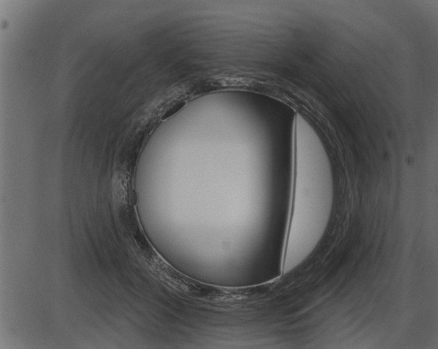 X0000086780604200704130831