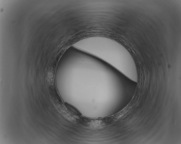 X0000086780609200704130831