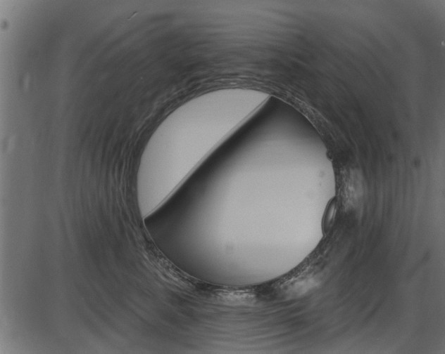 X0000086780619200704130830