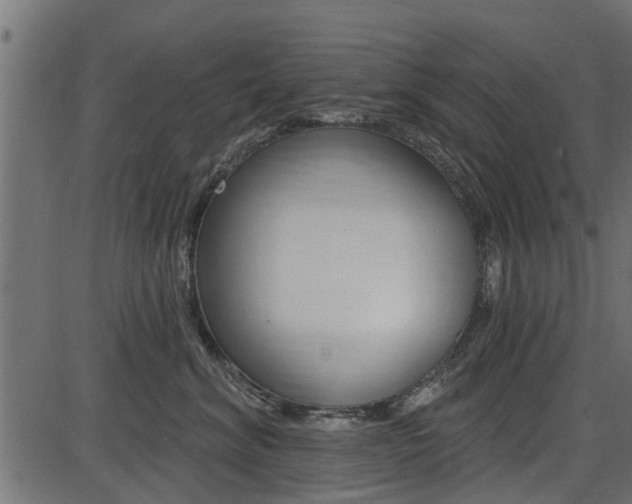 X0000086780620200704130830