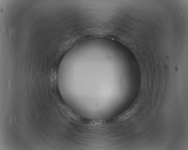 X0000086780624200704130830