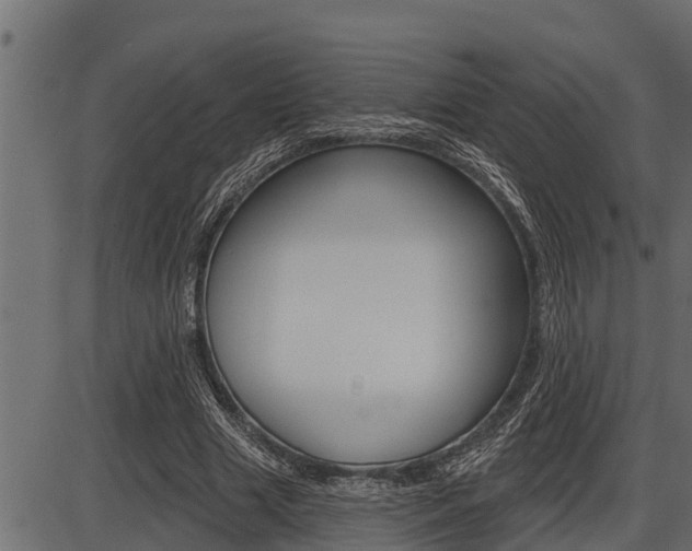 X0000086780633200704130830