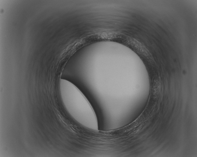 X0000086780639200704130830