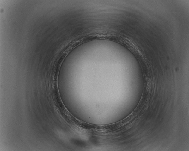 X0000086780643200704130830