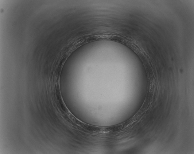 X0000086780647200704130830