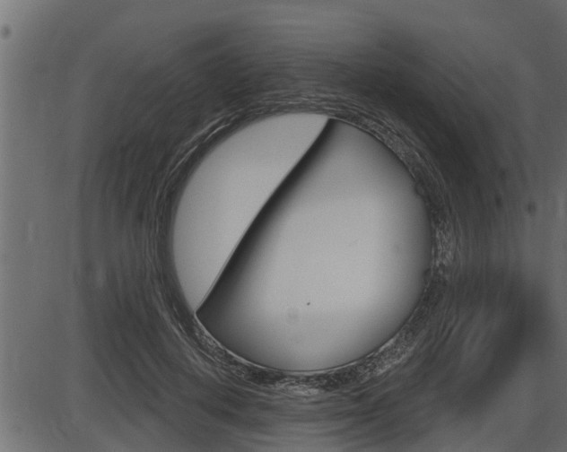 X0000086780648200704130830