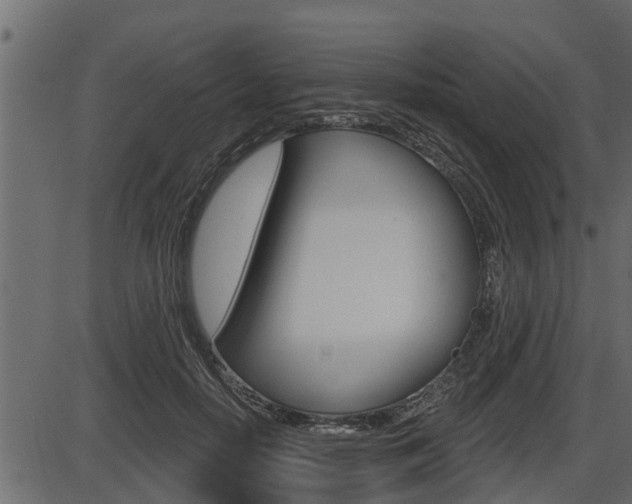 X0000086780650200704130830