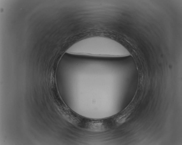 X0000086780651200704130830