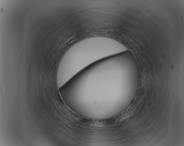 X0000086780656200704130830