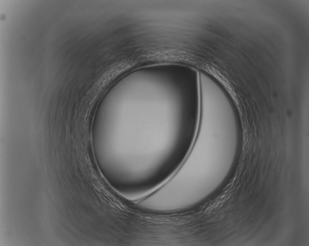 X0000086780673200704130829