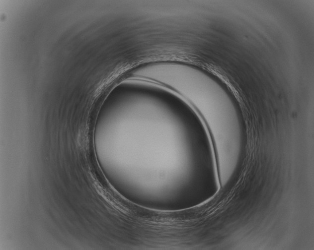 X0000086780677200704130829