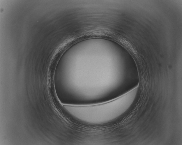 X0000086780680200704130829