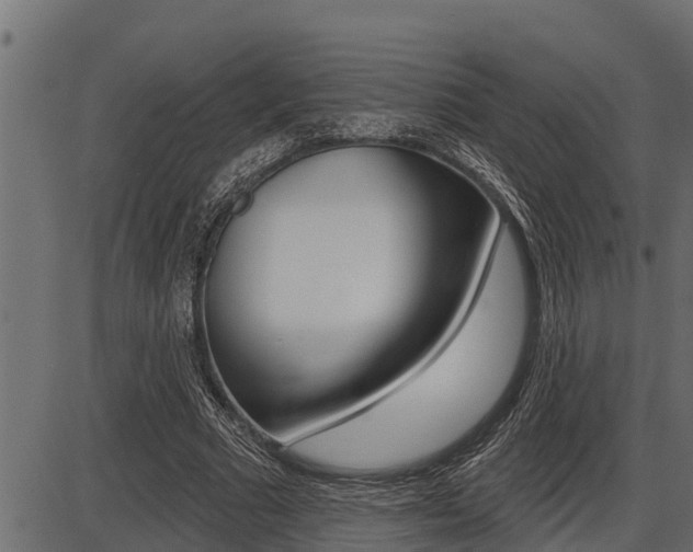 X0000086780681200704130829