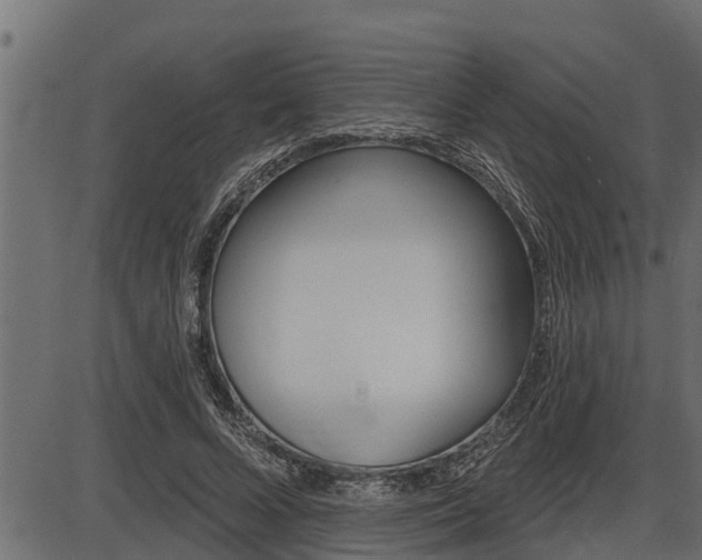 X0000086780688200704130829