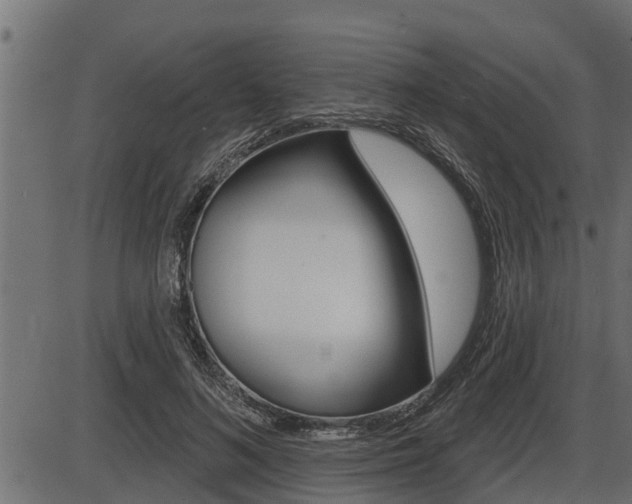 X0000086780692200704130829