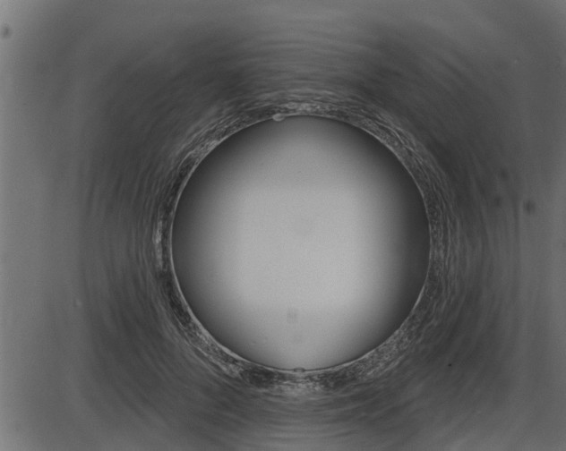 X0000086780696200704130829