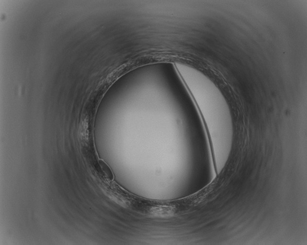 X0000086780700200704130829