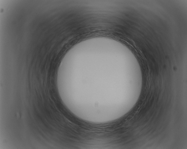 X0000086780701200704130829